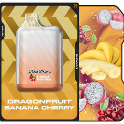 Malek El Zaman Disposable 10000 puffs - Dragonfruit  banana cherry - ( RECHARGEABLE )