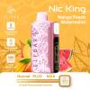 ELFBAR NIC KING 30000 puff - MANGO PEACH WATERMELON - ( RECHARGEABLE )