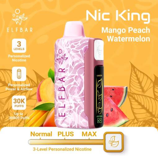 ELFBAR NIC KING 30000 puff - MANGO PEACH WATERMELON - ( RECHARGEABLE )