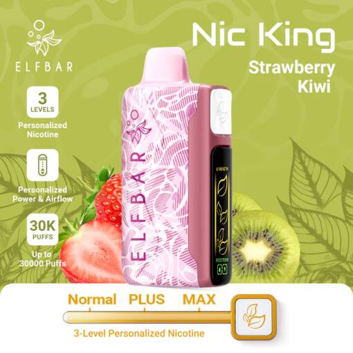 ELFBAR NIC KING 30000 puff - STRAWBERRY KIWI - ( RECHARGEABLE )