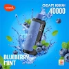 VOZOL Gear Hookah 40000 Puffs Disposable - BLUEBERRY MINT - (RECHARGEABLE )