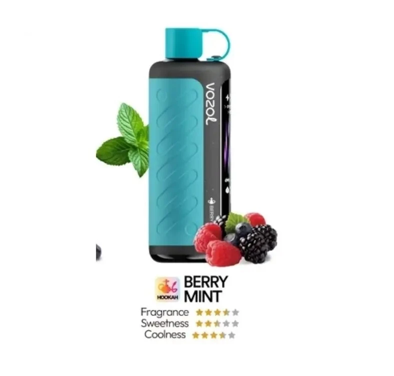 VOZOL Gear Hookah 40000 Puffs Disposable - BERRY MINT - (RECHARGEABLE ) 1 VOZOL Gear Hookah 40000 Puffs Disposable - BERRY MINT - (RECHARGEABLE )