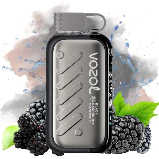 Vozol Disposable GEAR 50000 puff - BLACK RASPBERRY SMOOTHIE - ( RECHARGEABLE ) 1 Vozol Disposable GEAR 50000 puff - BLACK RASPBERRY SMOOTHIE - ( RECHARGEABLE )
