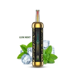 HOOKAH LIT PRO للاستخدام مرة واحدة - نكهة اللبان والنعناع - (60000 Puffs) ( RECHARGEABLE )