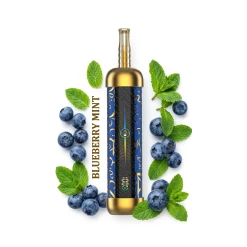 HOOKAH LIT PRO للاستخدام مرة واحدة - BLUEBERRY MINT - (60000 Puffs) ( RECHARGEABLE )