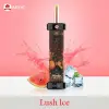 Hookah Lit Disposable Lush Ice (40000 Puffs)